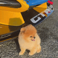 Mclaren Senna GIF
