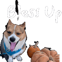 Corgi Bless Sticker