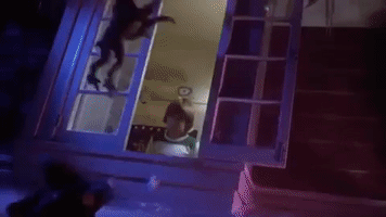 christmas movies gremlins GIF
