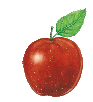 Absolut Juice Sticker by Absolut Vodka