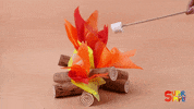 Fire Camping GIF by Super Simple