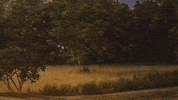 Golden Days Lyric Video GIF by CB30