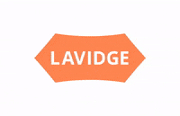 lavidgeco lavidge usa GIF