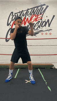 quinitboxing  GIF