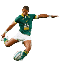 South Africa Rugby Sticker by GrowZA