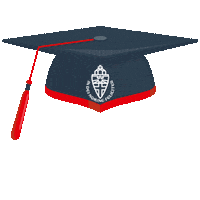 Graduation Geslaagd Sticker by Radboud University