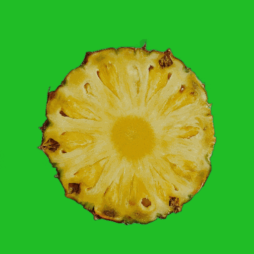 Summer Comida GIF