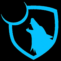 TransformPT workout wolf transform wolfpack GIF