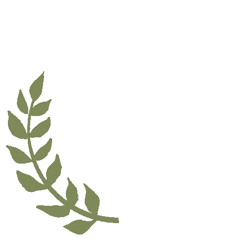 jbeamoncreative giphyupload circle plants leaf Sticker