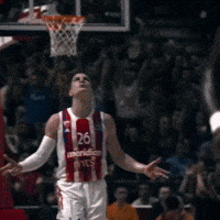 Crvena Zvezda Nedovic GIF
