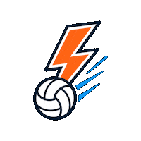305 Volleyball Miami Sticker by 305VBC