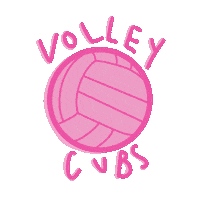 Volleyball Sticker by Mount Carmel Academy