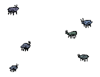 Bugs Insects Sticker