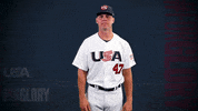 Pro GIF by USA Baseball