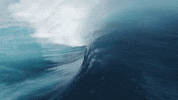 water sports sport GIF by World Surf League