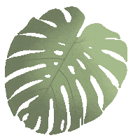Palm Leaf Love Sticker