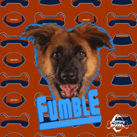 Football Dog GIF by Puppy Bowl