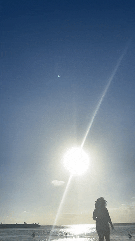 Puerto Rico Summer GIF