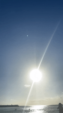 Puerto Rico Summer GIF