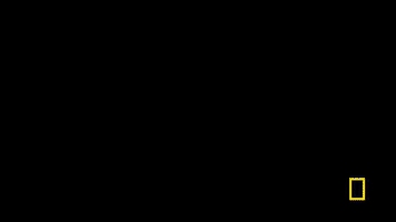 lifebelowzero GIF by National Geographic Channel