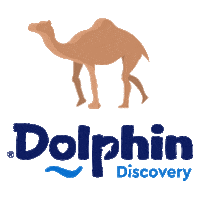 Sticker by Dolphin Discovery