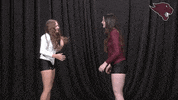 Volleyball GIF by CUCougars