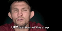 UFC Is Cream Of The Crop