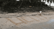 cast GIF