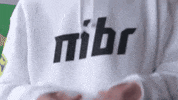 mibrteam csgo eco mibr GIF