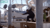 kevin james water GIF by TV Land