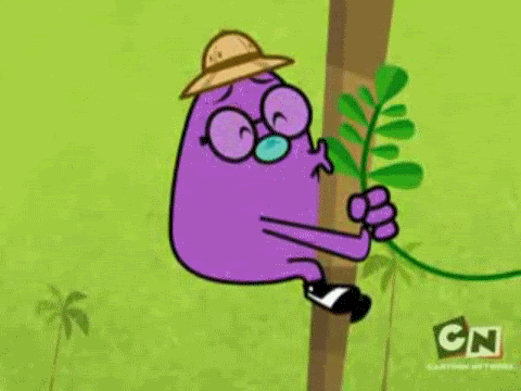 mr show GIF
