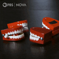 Teething Mental Health GIF by PBS Digital Studios