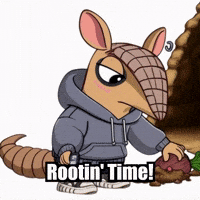 Roots Armadillo GIF by Chillo Dillo
