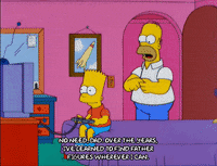 homer simpson episode 6 GIF