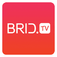 bridtv thumb up brid bridvideo GIF