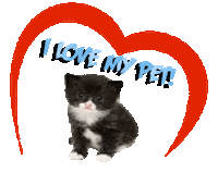 Guinea Pig Love Sticker