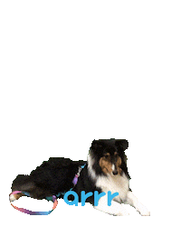 아르르 Sticker by arrr_official