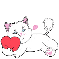 Cat Animal Rights Sticker