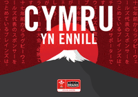 brainsbrewery beer rugby brewery brains GIF