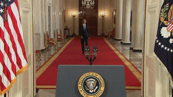 Barack Obama News GIF