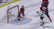 celebrate ice hockey GIF by NHL