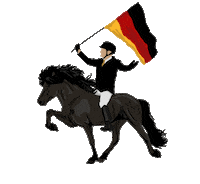 Horse Daniel Sticker by Easyflix TV