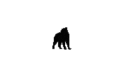 Black Cat Sticker by Jonas Blue