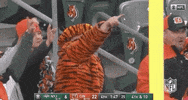 Regular Season Football GIF by NFL