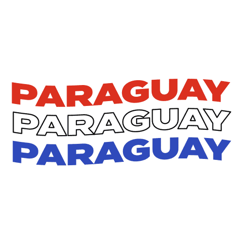 melissaduarte4470 paraguay guaraní meli diseño pegatina guaraní Sticker