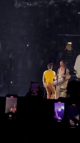 Harry Styles Rips Pants On Stage During LA Concert