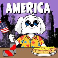 United States Usa GIF by BoDoggos