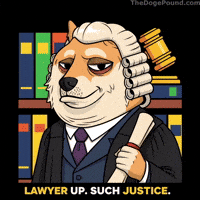 Brand Deal With It GIF by Doge Pound