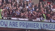 Happy Premier League GIF by Aston Villa FC