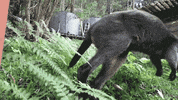 fountain GIF by LIARS
